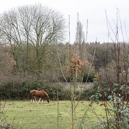 1 Hour From Paris Holiday home La Boissiere (Eure)