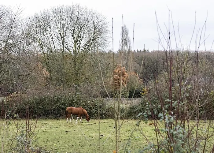 1 Hour From Paris Dom wakacyjny La Boissiere (Eure)